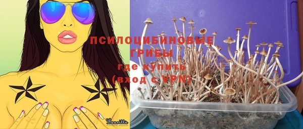 мескалин Баксан